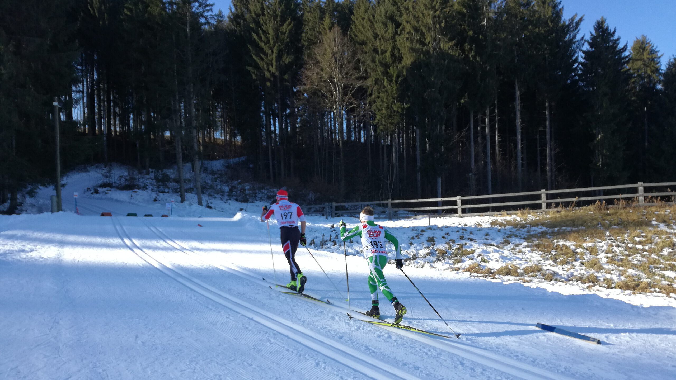 Zwei Skiläufer in klassischer Technik auf einer festgefahrenen Loipe im Winterwald.